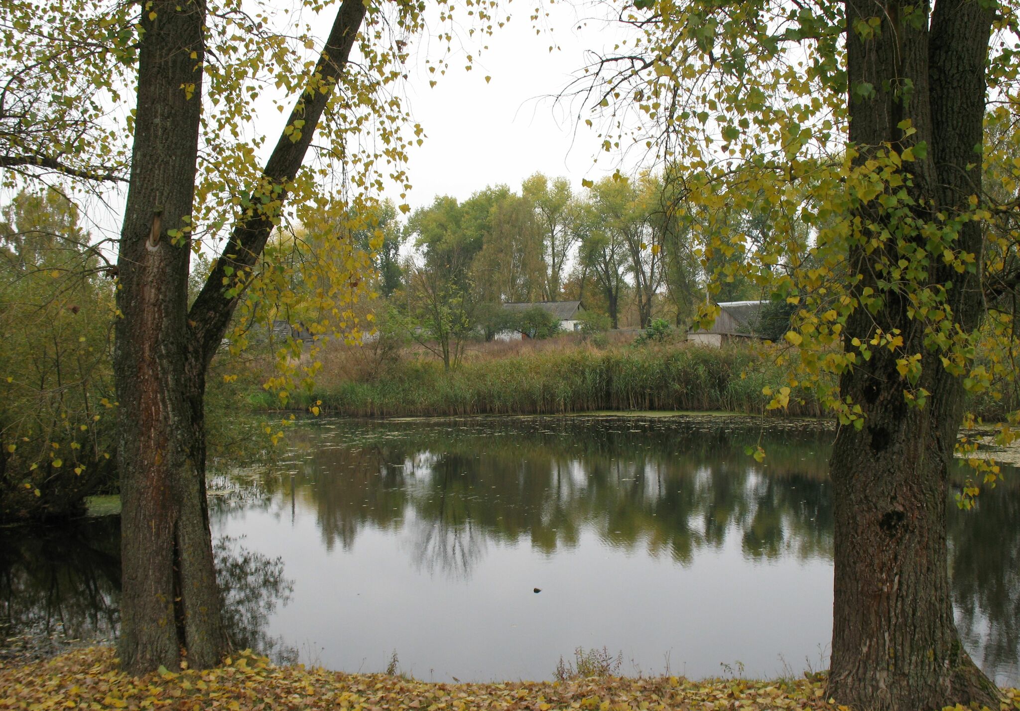 Продажа дома 55 м², Победы ул., 5