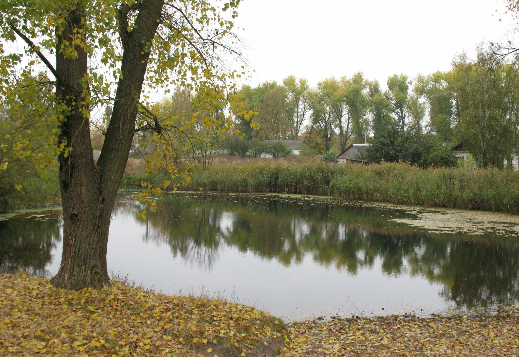 Продажа дома 55 м², Победы ул., 5