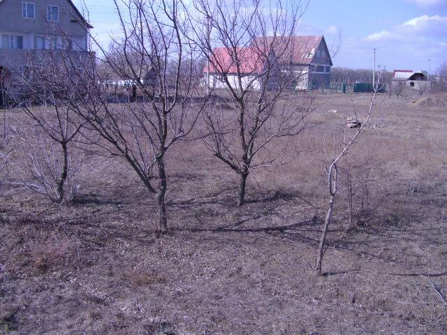 Продажа участка под индивидуальное жилое строительство 6 соток, Куротная ул.