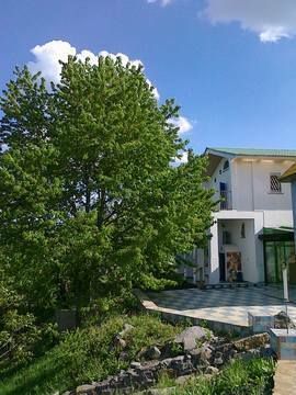 Дом посуточно 250 м², Садовая ул.