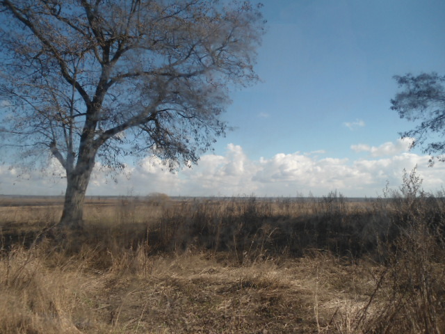 Продажа участка для частного использования 20 соток, Лесная ул.