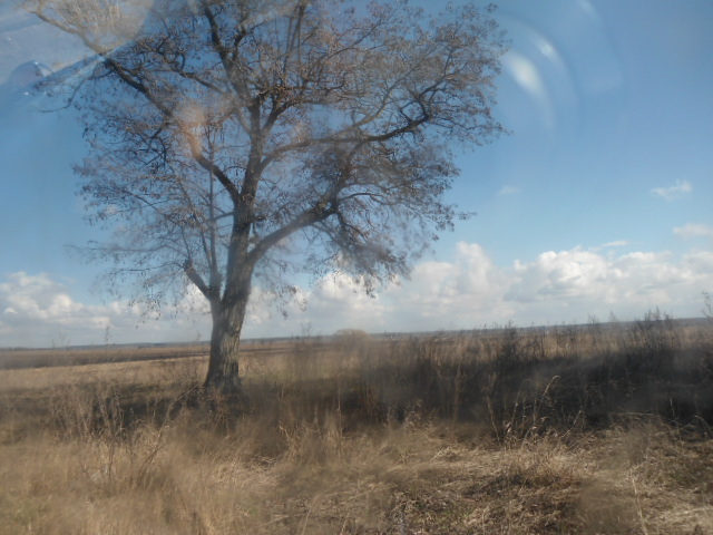 Продаж ділянки під ОСГ 400 соток, Фасовая ул.