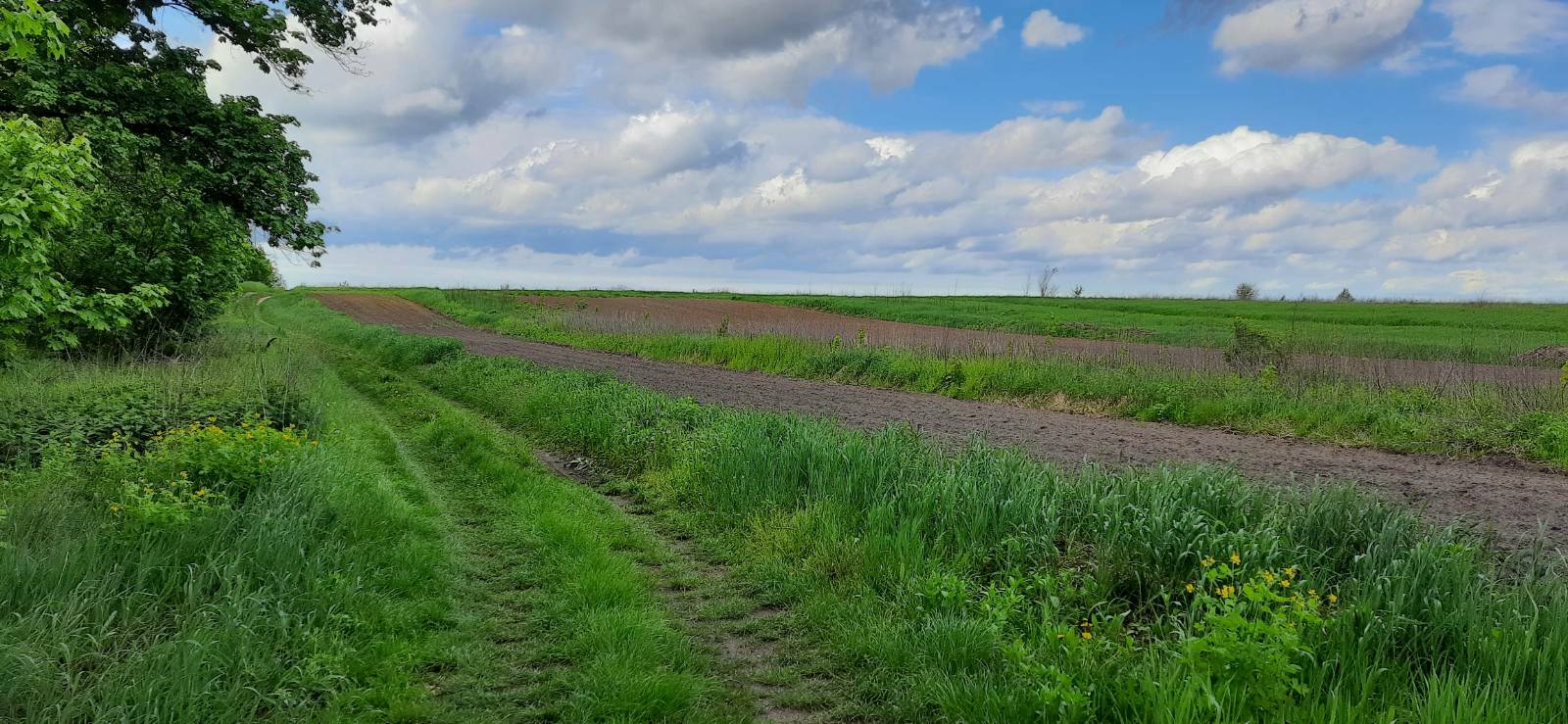Продажа участка для строительства производства 553 соток