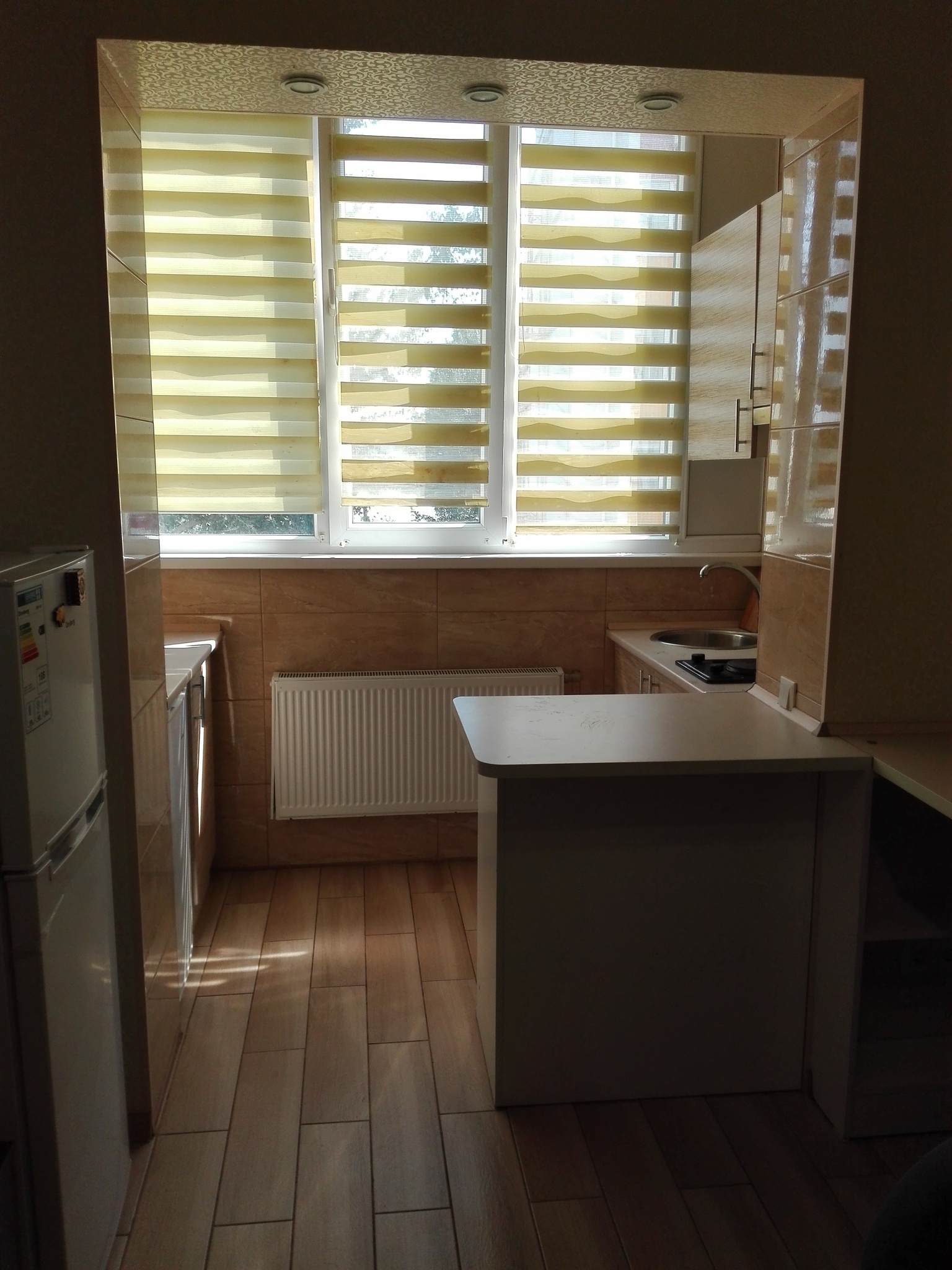 Аренда 1-комнатной квартиры 17 м², Шевченковский пер., 30