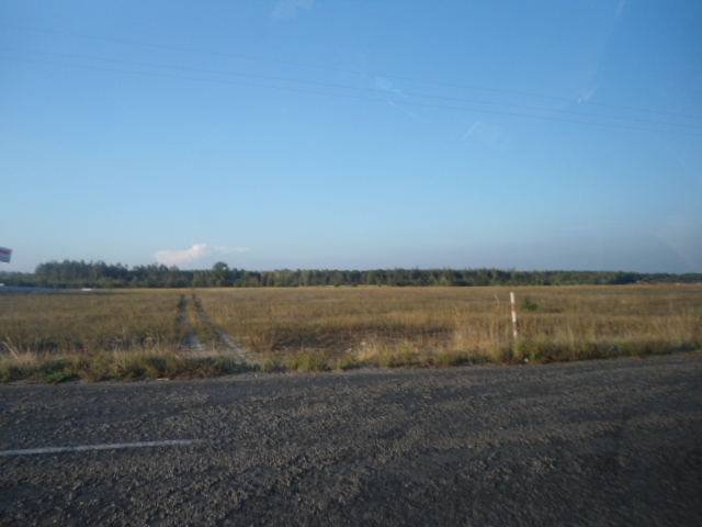 Продажа участка для частного использования 900 соток, Лесная ул.