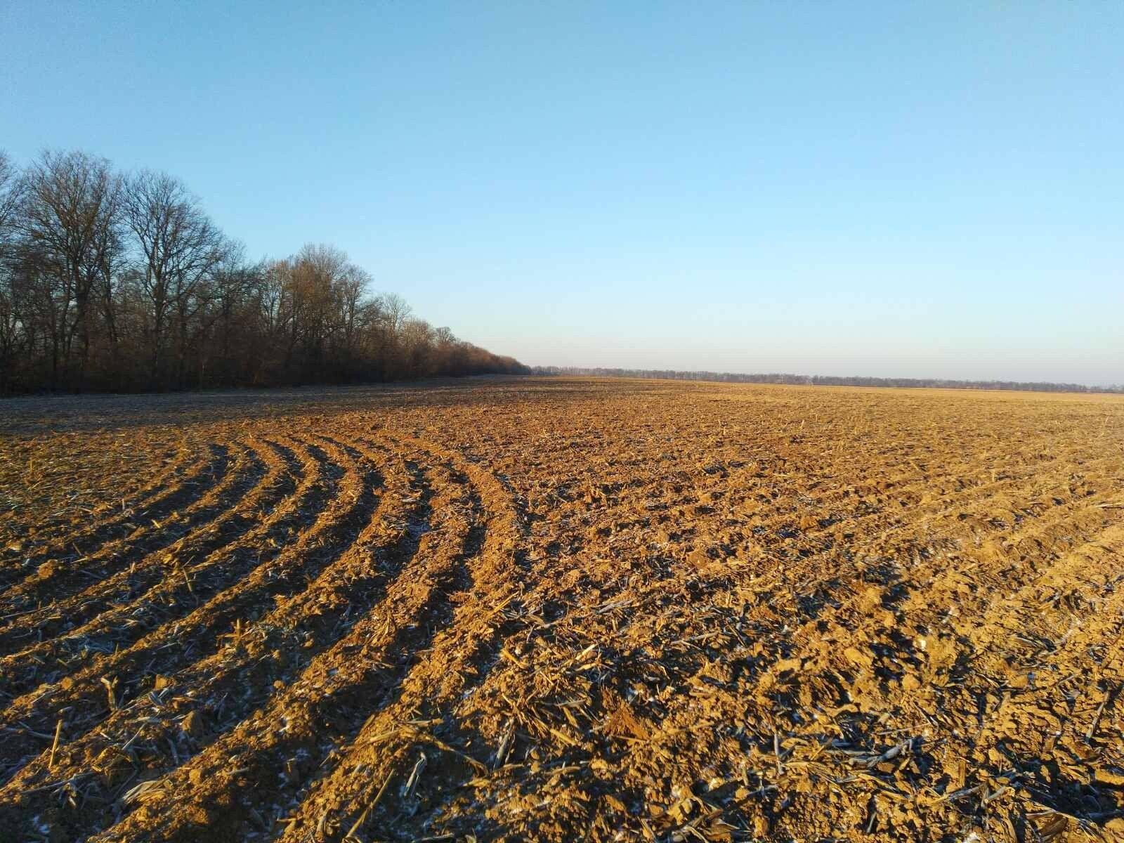 Продаж ділянки під ОСГ 6000 соток