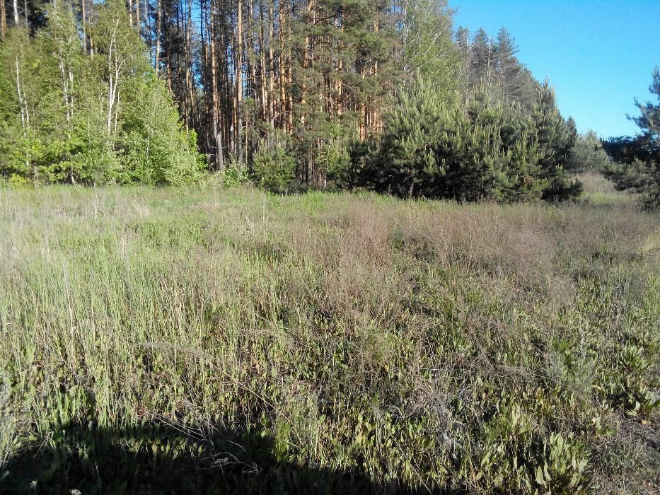 Продаж ділянки під індивідуальне житлове будівництво 30 соток