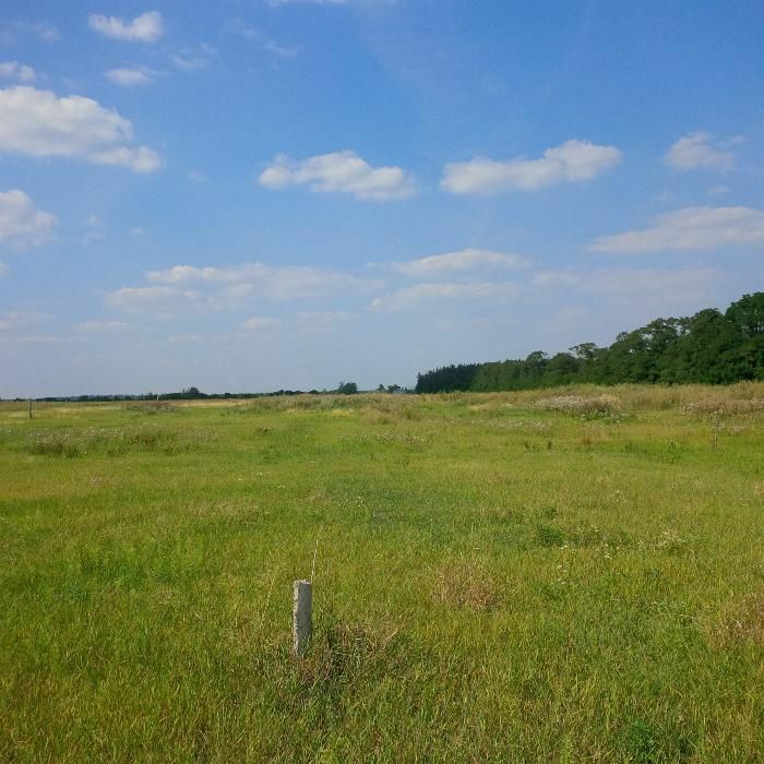 Продаж ділянки під ОСГ 300 соток