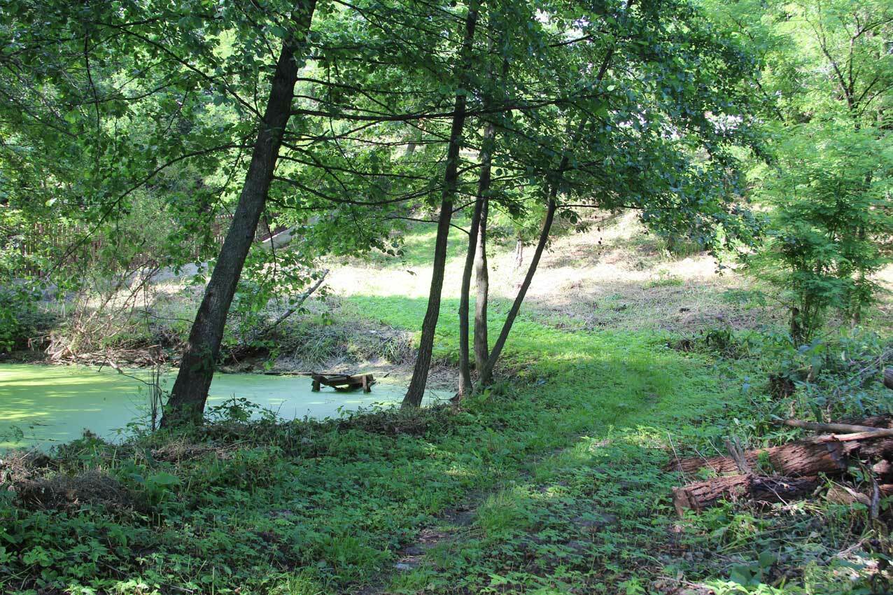 Продажа участка для частного использования 10 соток, Речная ул.