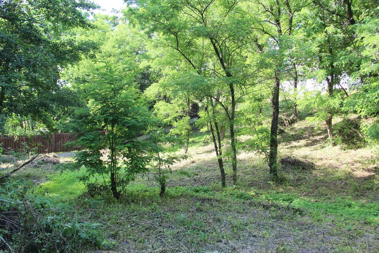 Продаж ділянки під індивідуальне житлове будівництво 25 соток