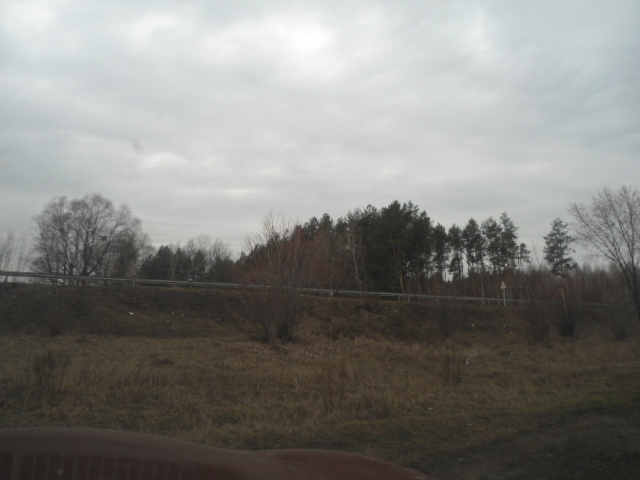 Продаж ділянки під рослинництво 300 соток