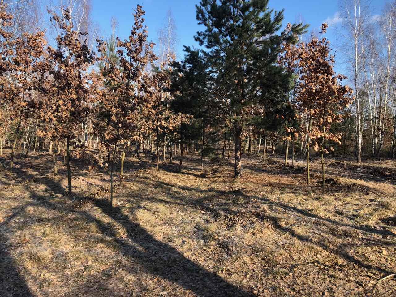 Продаж ділянки під індивідуальне житлове будівництво 220 соток