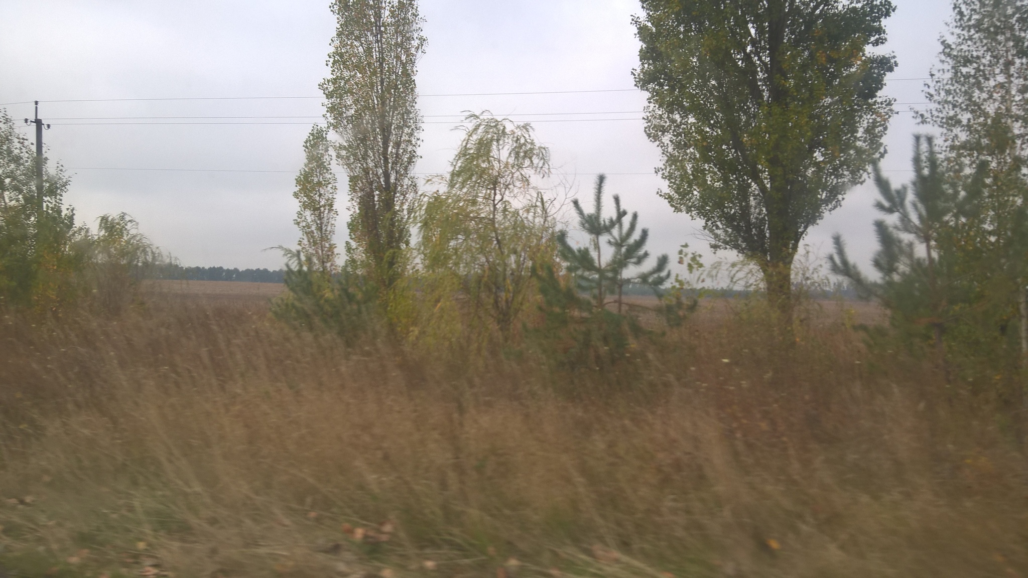 Продажа участка под ОСГ 2150 соток