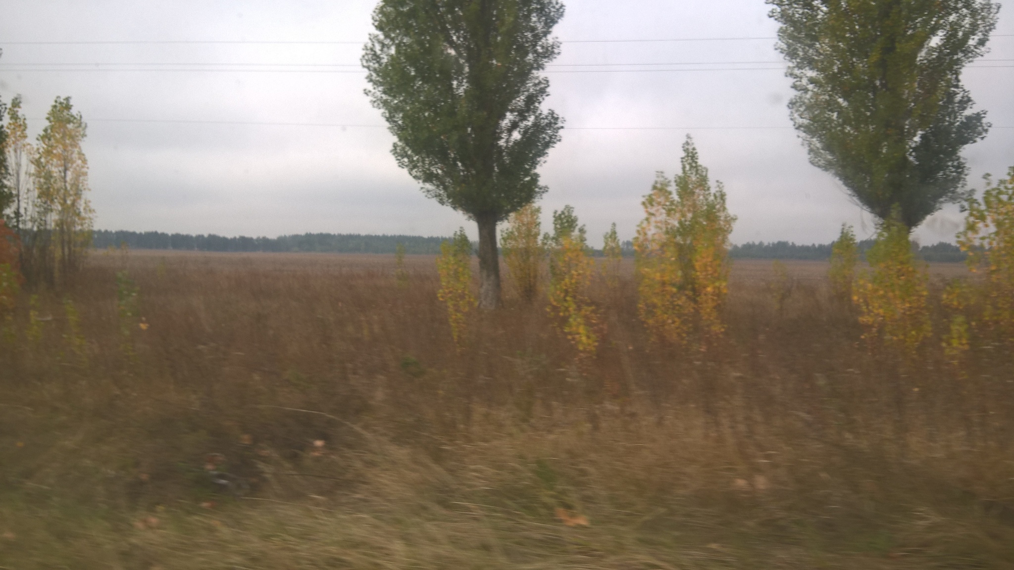 Продажа участка под ОСГ 2150 соток