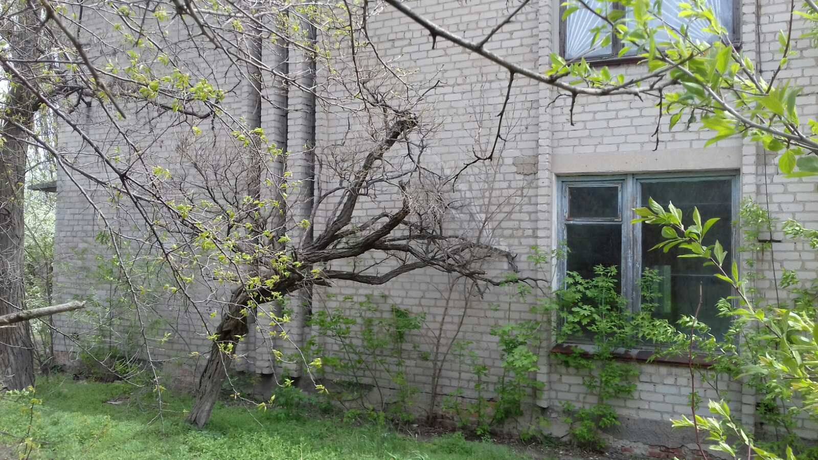 Продажа офиса 800 м², Ленина просп., 111