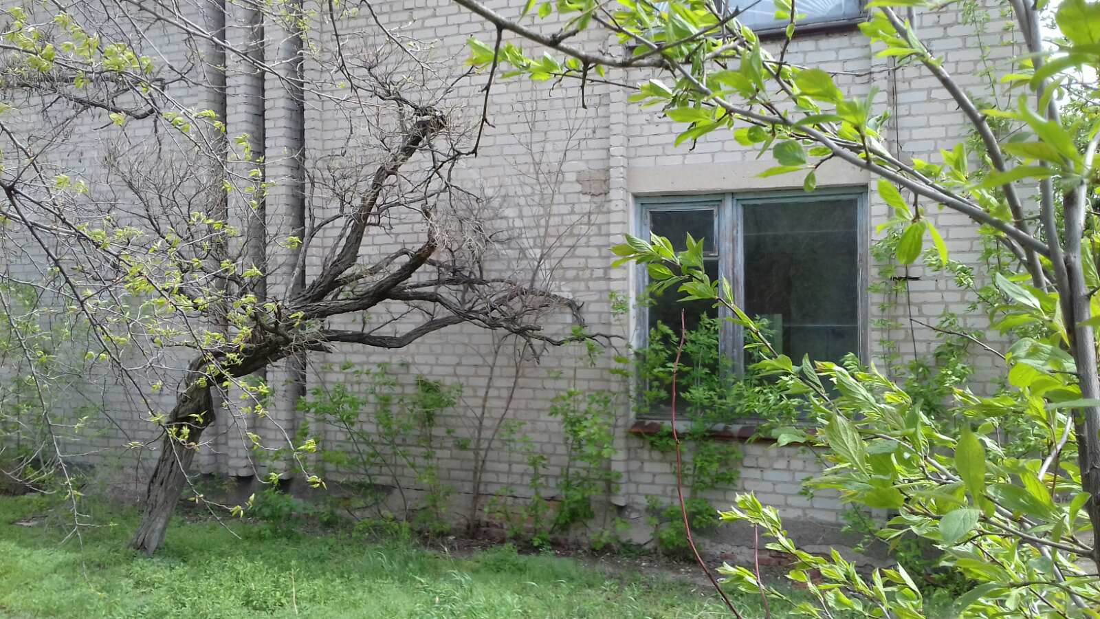 Продажа офиса 800 м², Ленина просп., 111