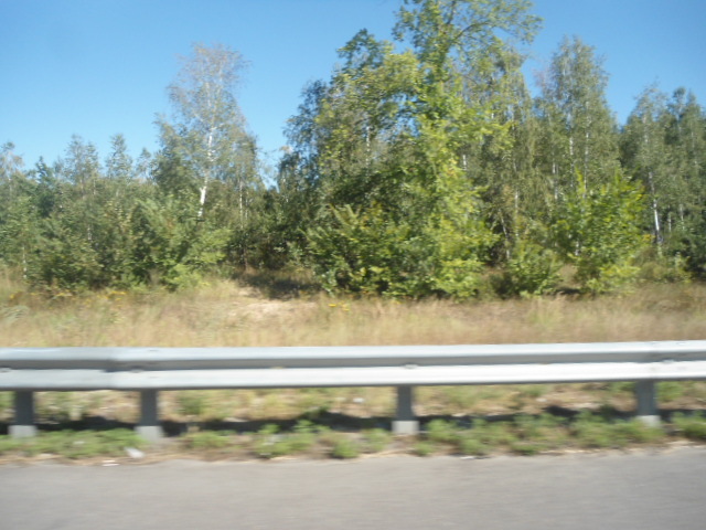 Продаж ділянки під ОСГ 300 соток