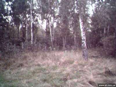 Продаж ділянки під ОСГ 300 соток