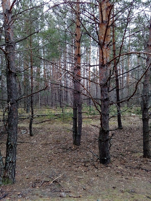 Продаж ділянки під індивідуальне житлове будівництво 24 соток, Першотравнева ул.