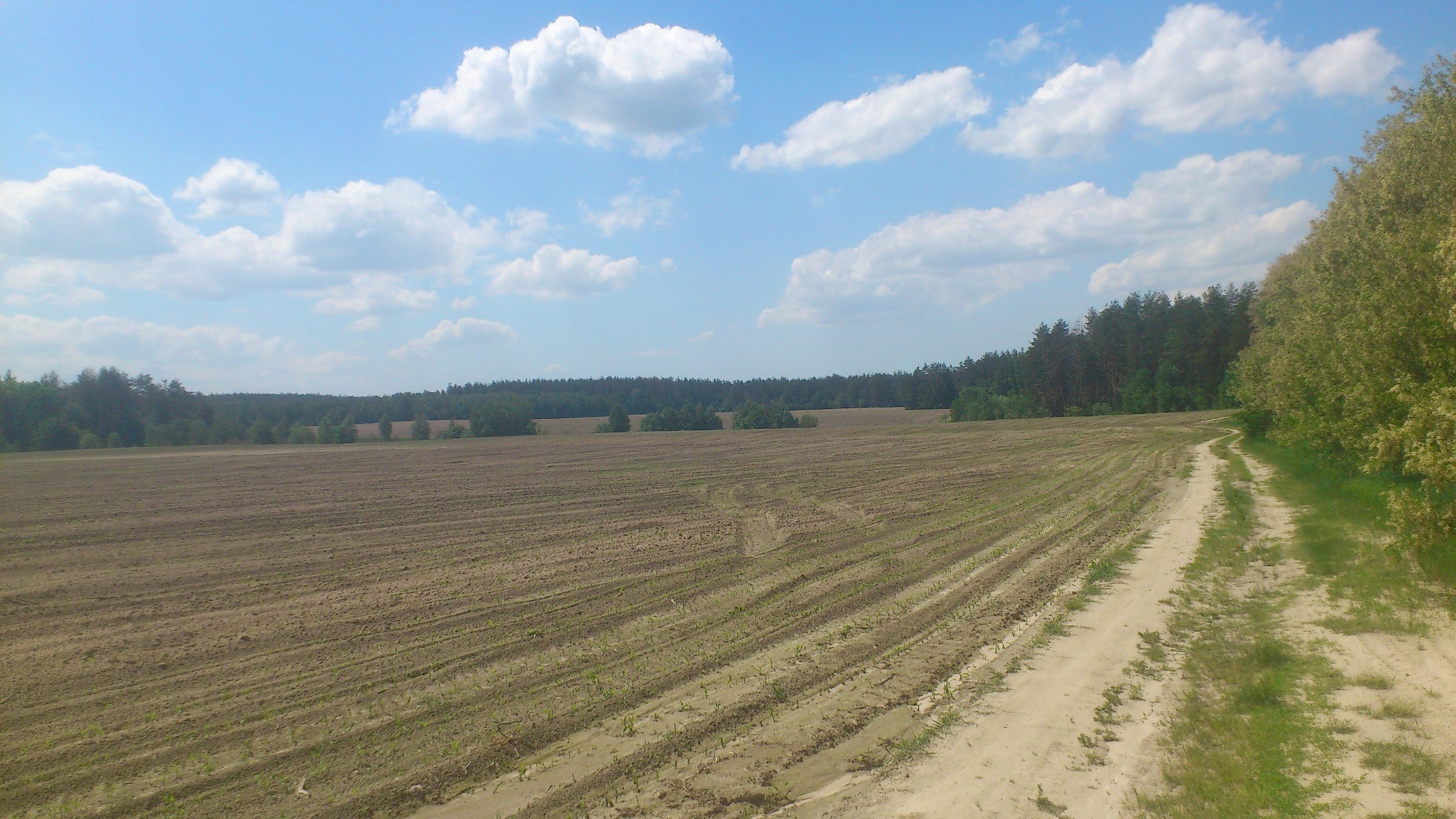 Продажа участка под ОСГ 550 соток, Летня ул.