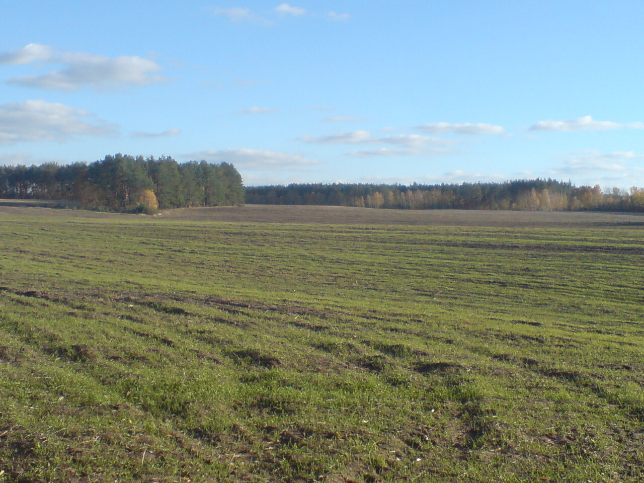 Продажа участка под ОСГ 550 соток, Летня ул.