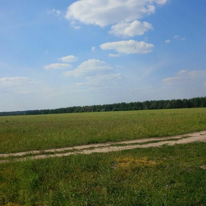 Продаж ділянки для приватного використання 1000 соток