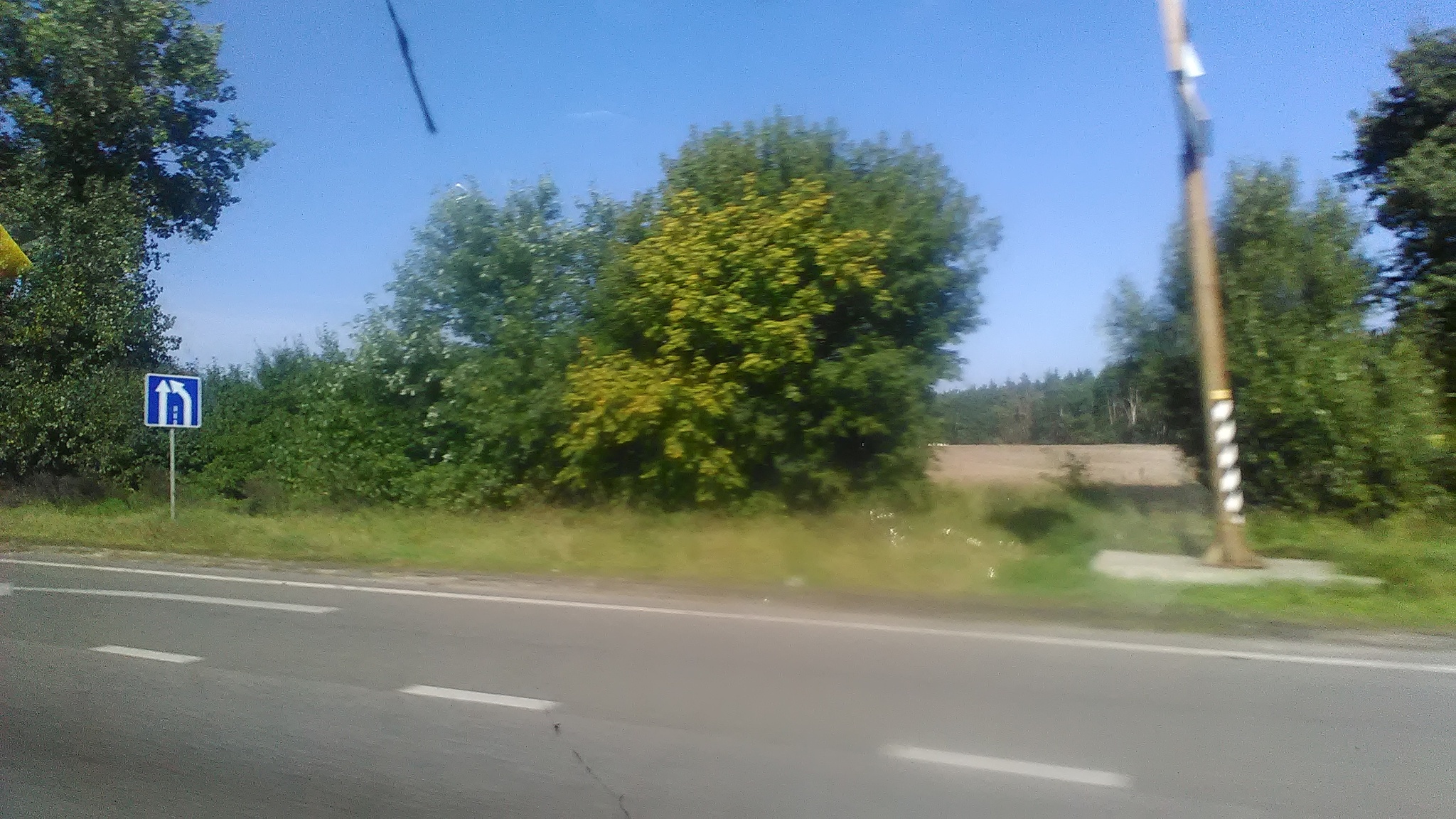 Продаж ділянки під ОСГ 220 соток, Фасад Трассы ул.