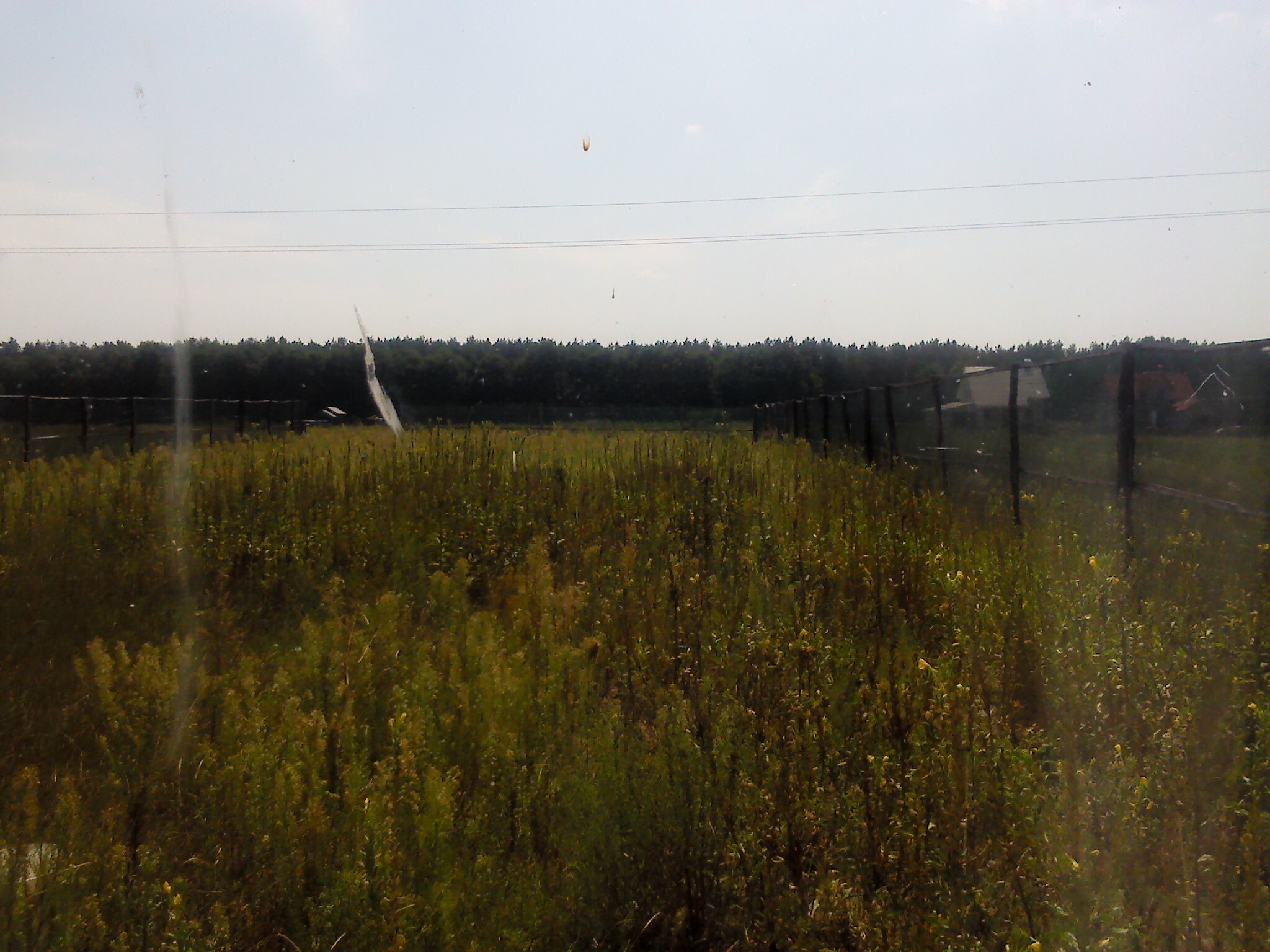 Продажа дачи 25 м²