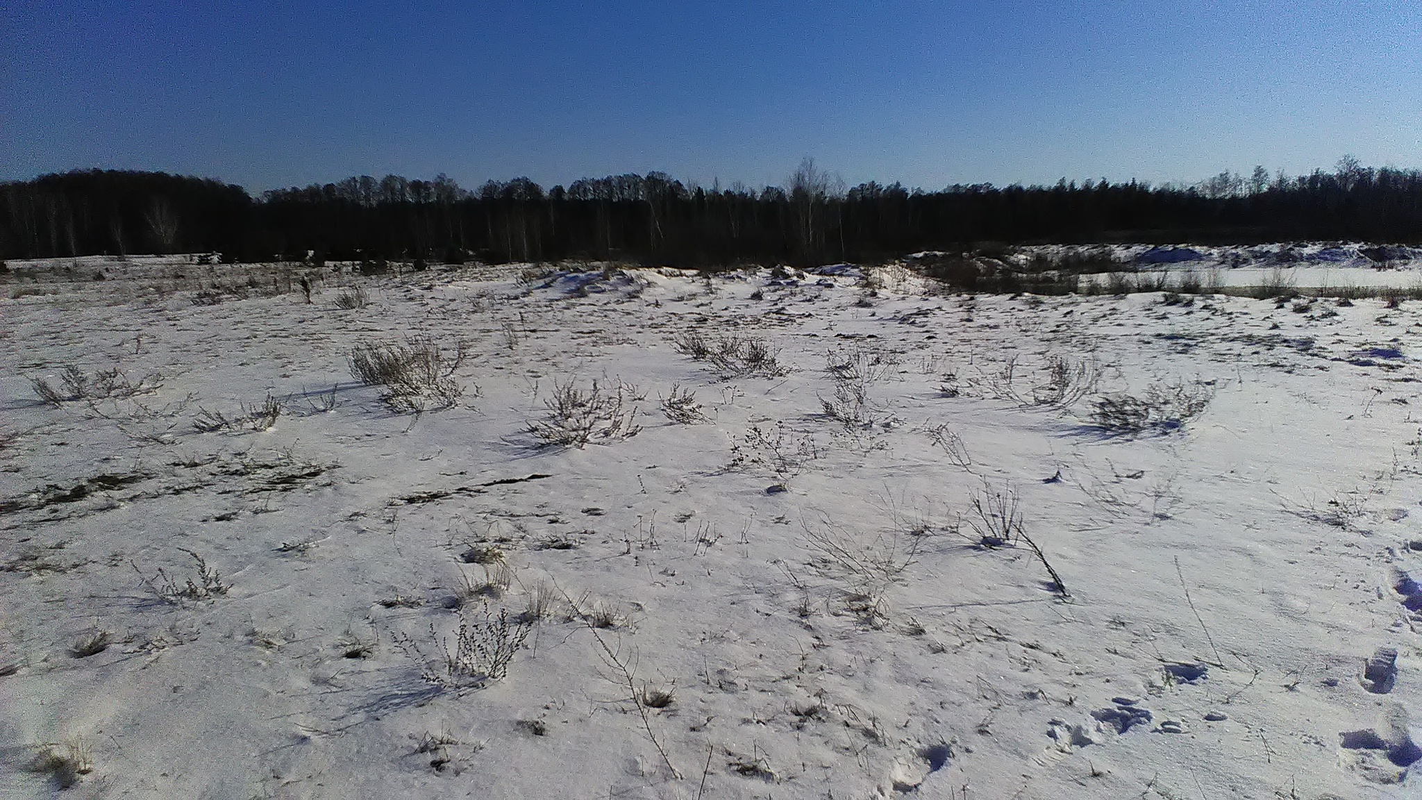 Продаж дачної ділянки 10 соток