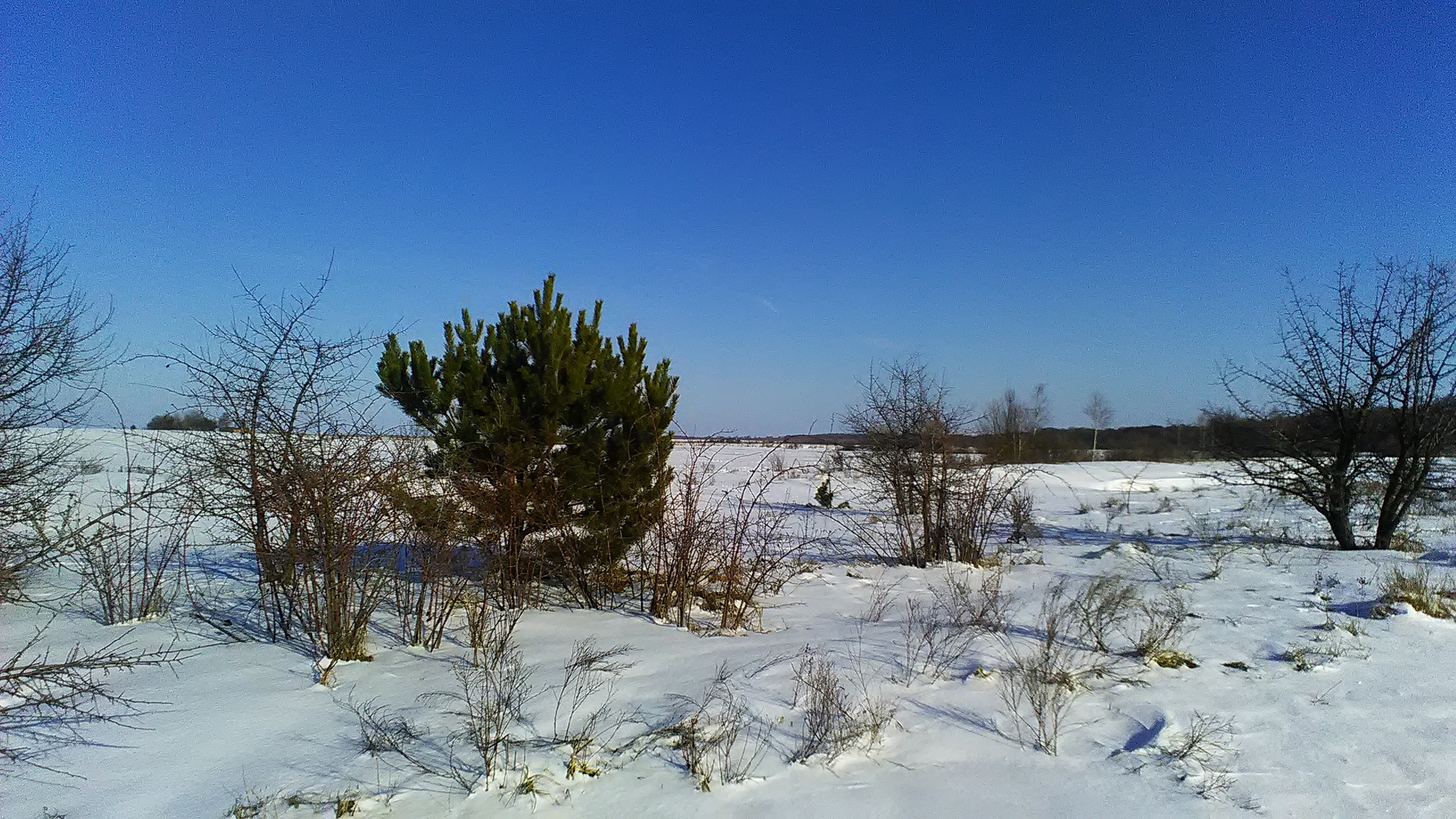 Продаж дачної ділянки 10 соток