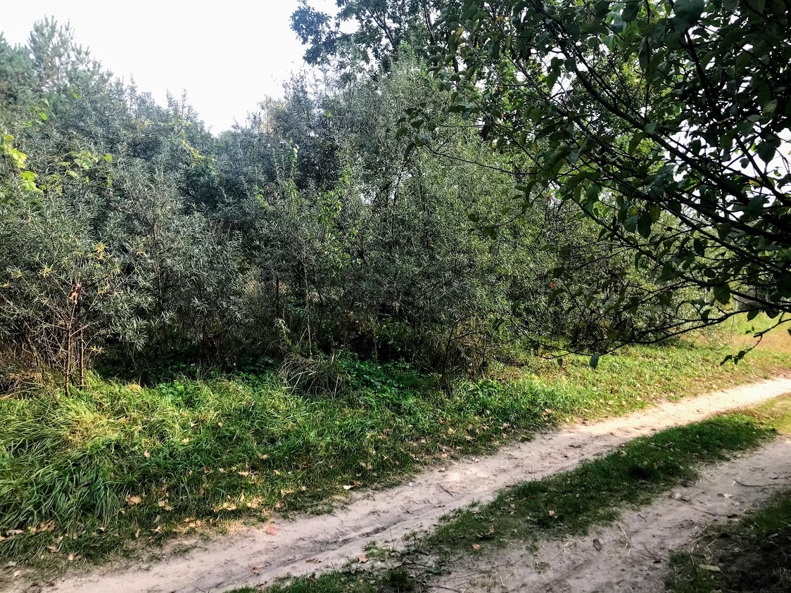 Продажа дома 130 м²