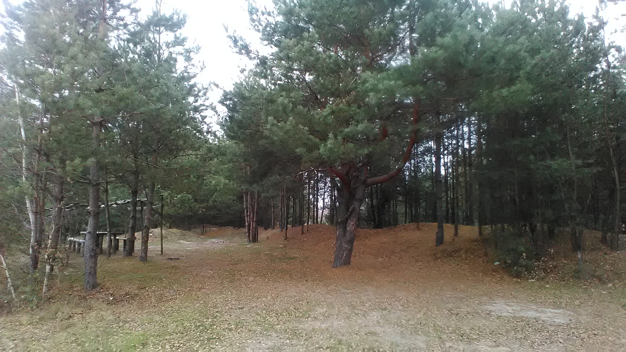 Продаж ділянки під інвестиційний проєкт 700 соток