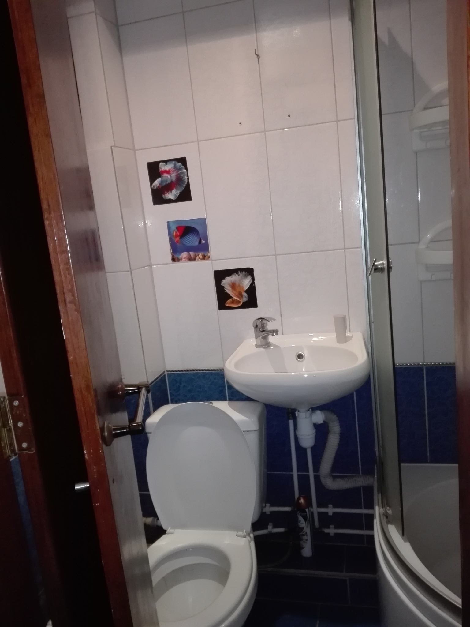 Аренда смарт квартиры 22 м², Ивана Каркача бул., 75