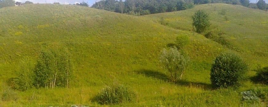 Продаж ділянки під рослинництво 100 соток, Бугаивка ул.