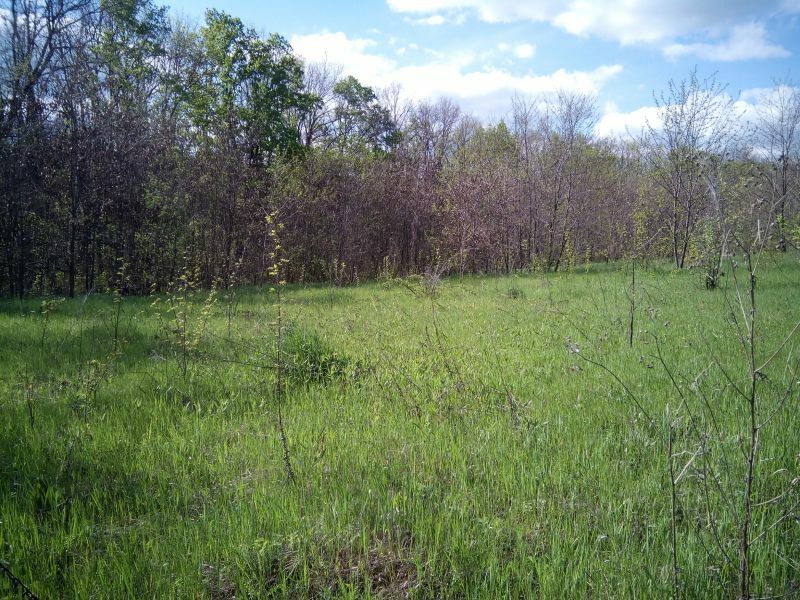 Продажа участка под коммерческую застройку 5 соток, Академика Павлова ул.