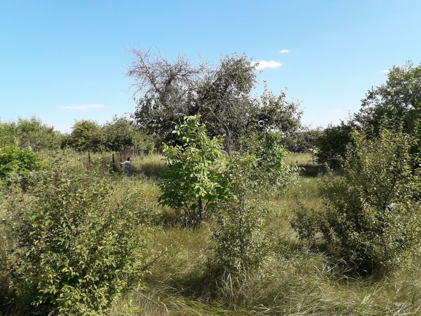 Продаж будинку 50 м², Харьковская ул., 41