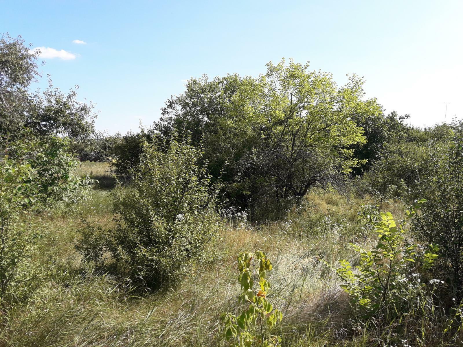 Продажа дома 50 м², Харьковская ул., 41