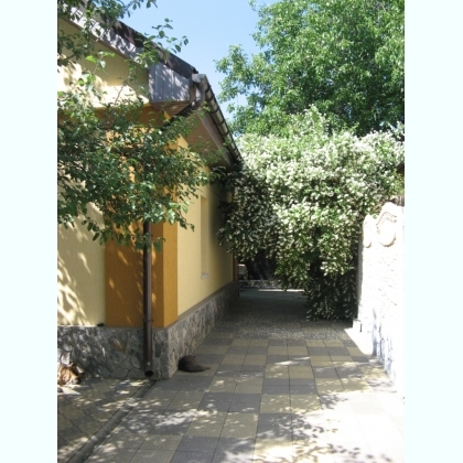 Продажа дома 220 м², Александровский просп., 12