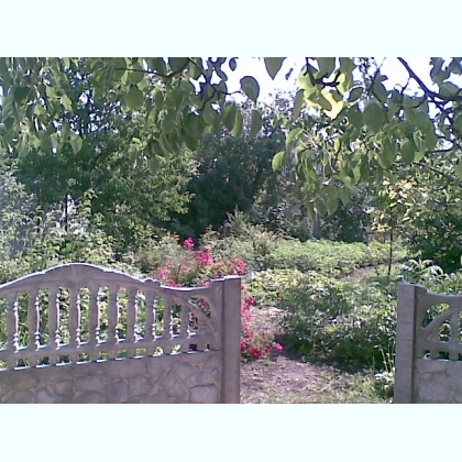 Продажа дома 220 м², Александровский просп., 12