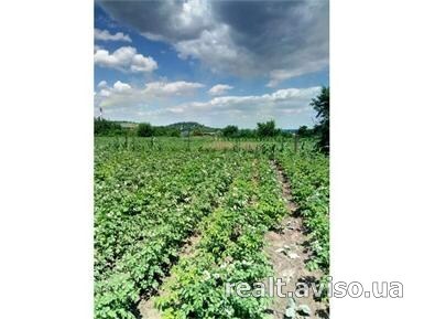Продажа участка под индивидуальное жилое строительство 20 соток