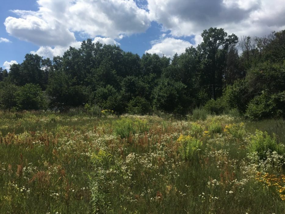 Продажа участка под индивидуальное жилое строительство 20 соток