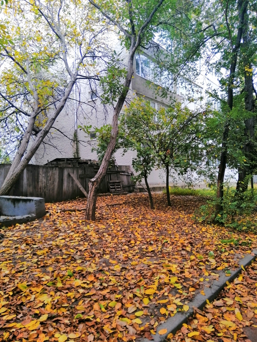 Аренда оздоровительного комплекса 2400 м², Павла Шклярука ул.