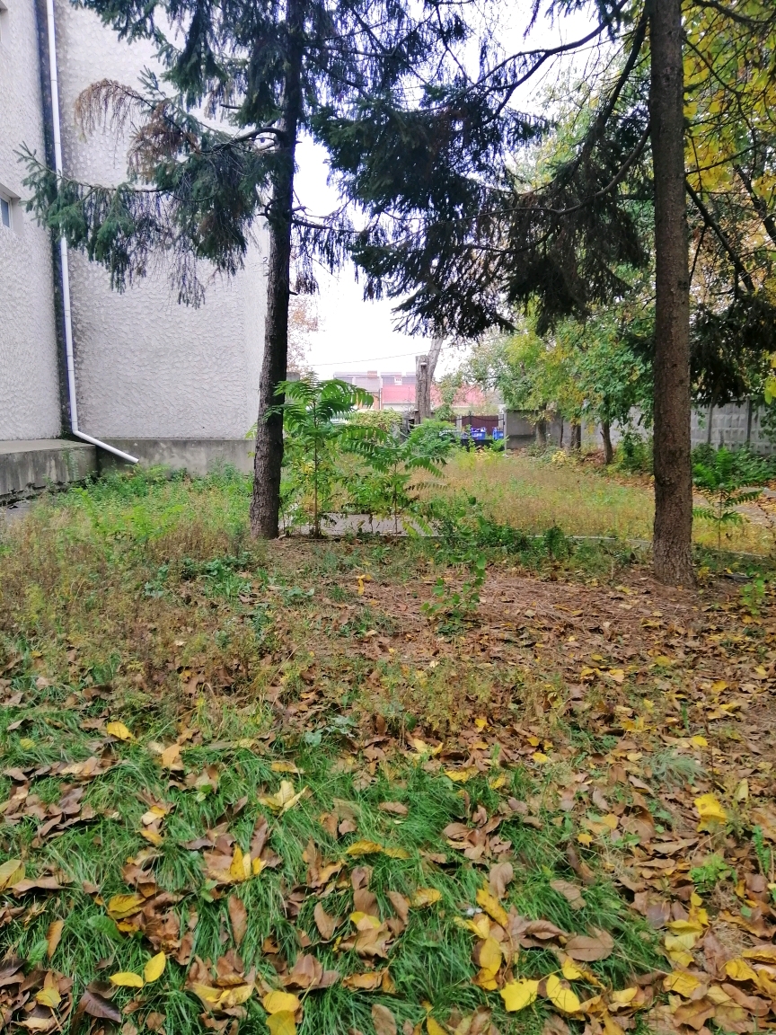 Аренда оздоровительного комплекса 2400 м², Павла Шклярука ул.