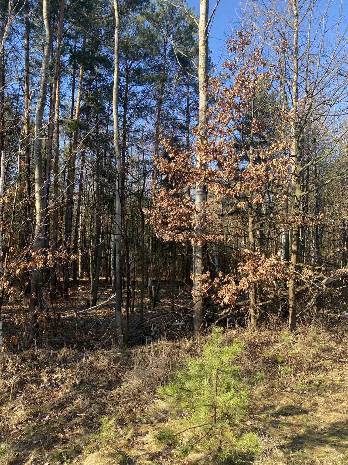 Продаж ділянки під інвестиційний проєкт 400 соток