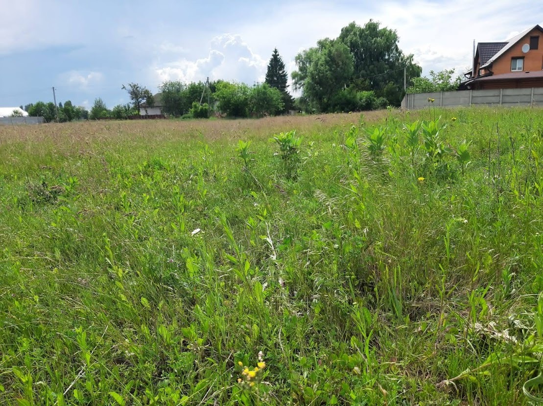 Продаж ділянки під індивідуальне житлове будівництво 23 соток