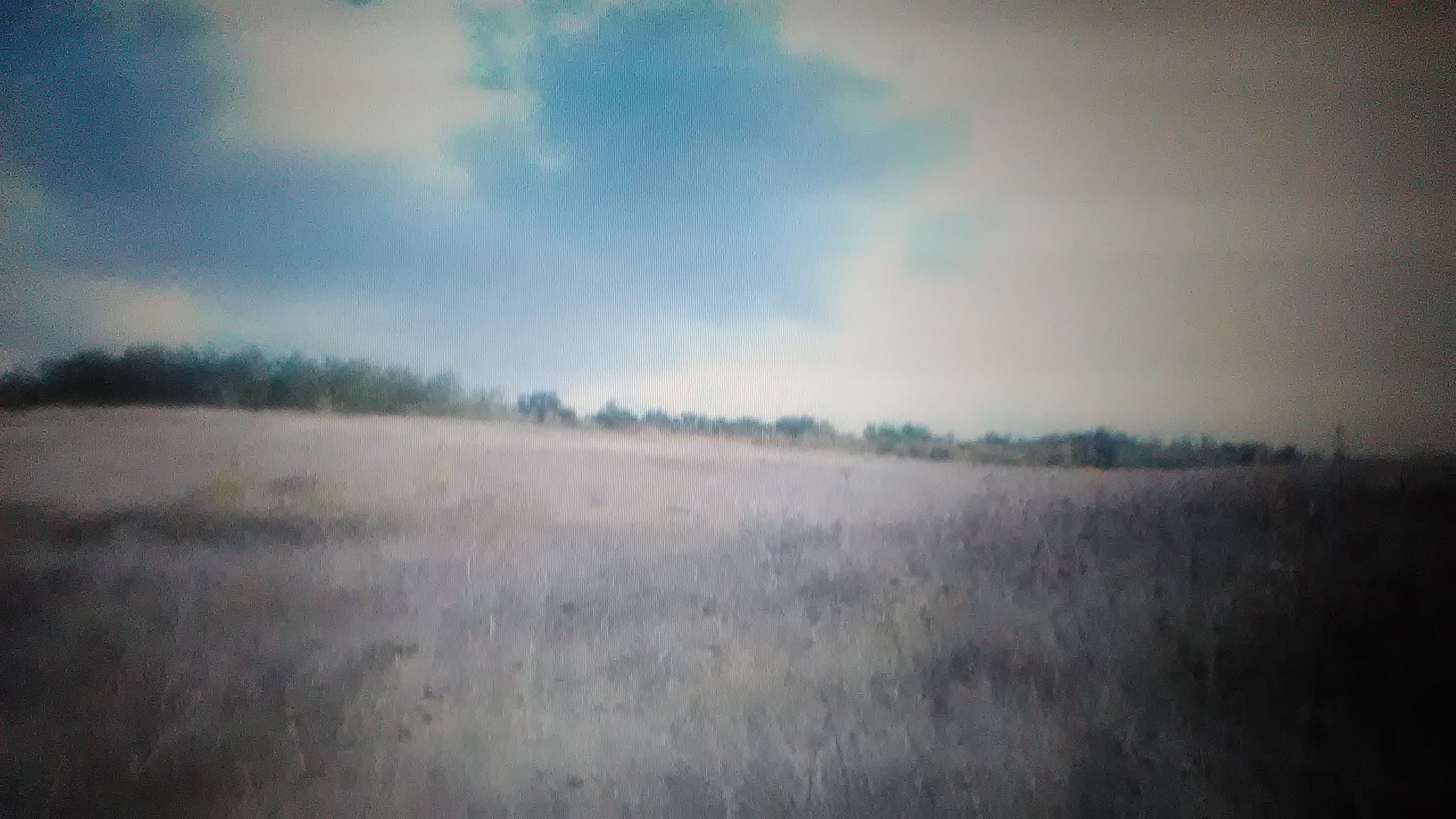 Продаж ділянки під індивідуальне житлове будівництво 15 соток