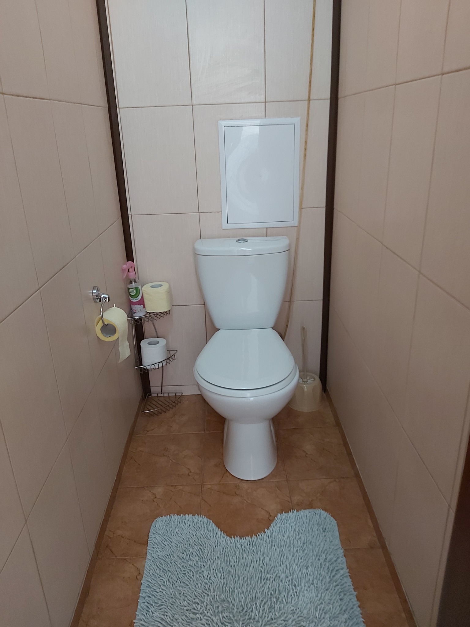 2-комнатная квартира посуточно 60 м², Владимира Маяковского просп., 70