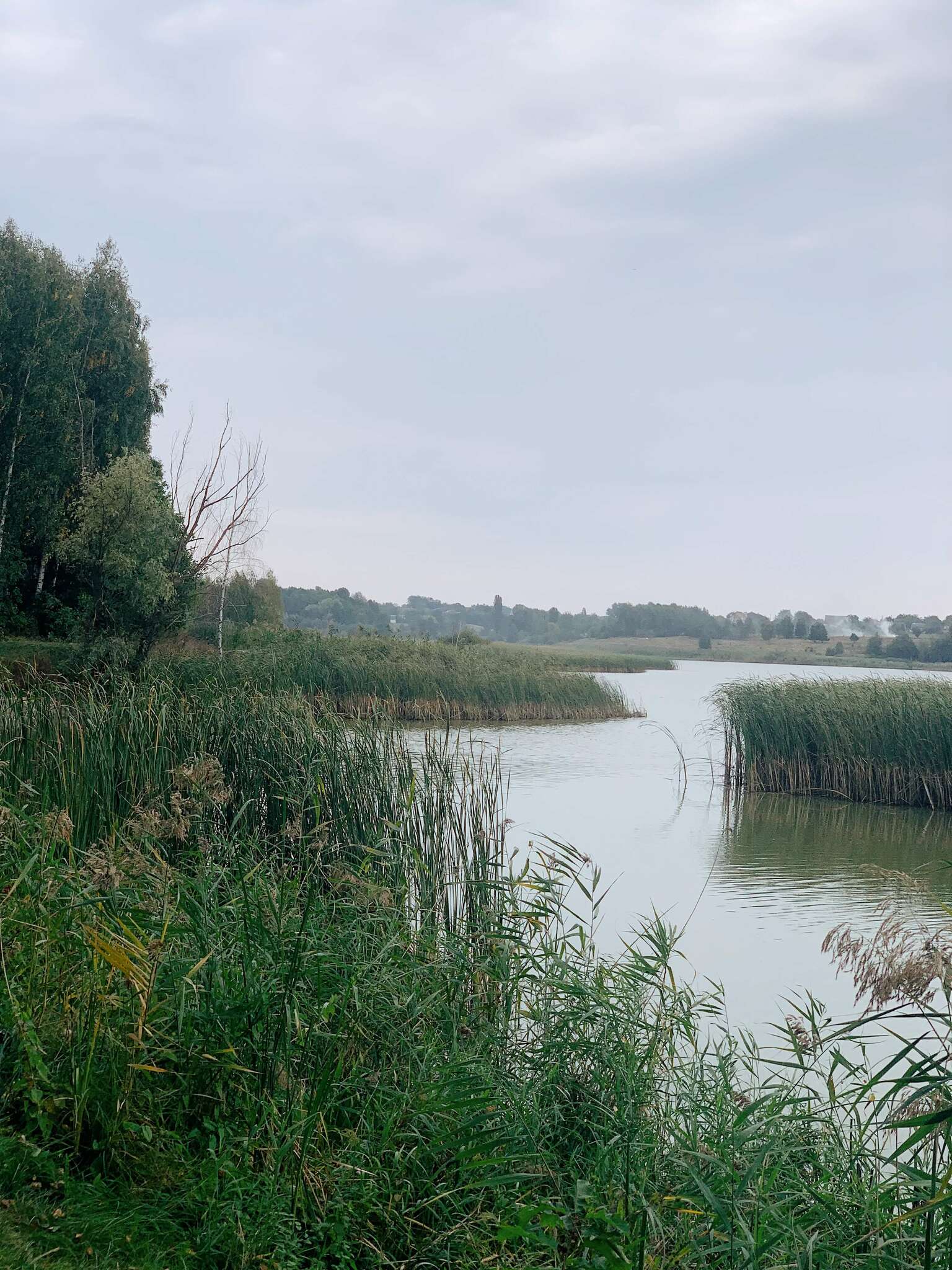 Продаж ділянки під індивідуальне житлове будівництво 100 соток