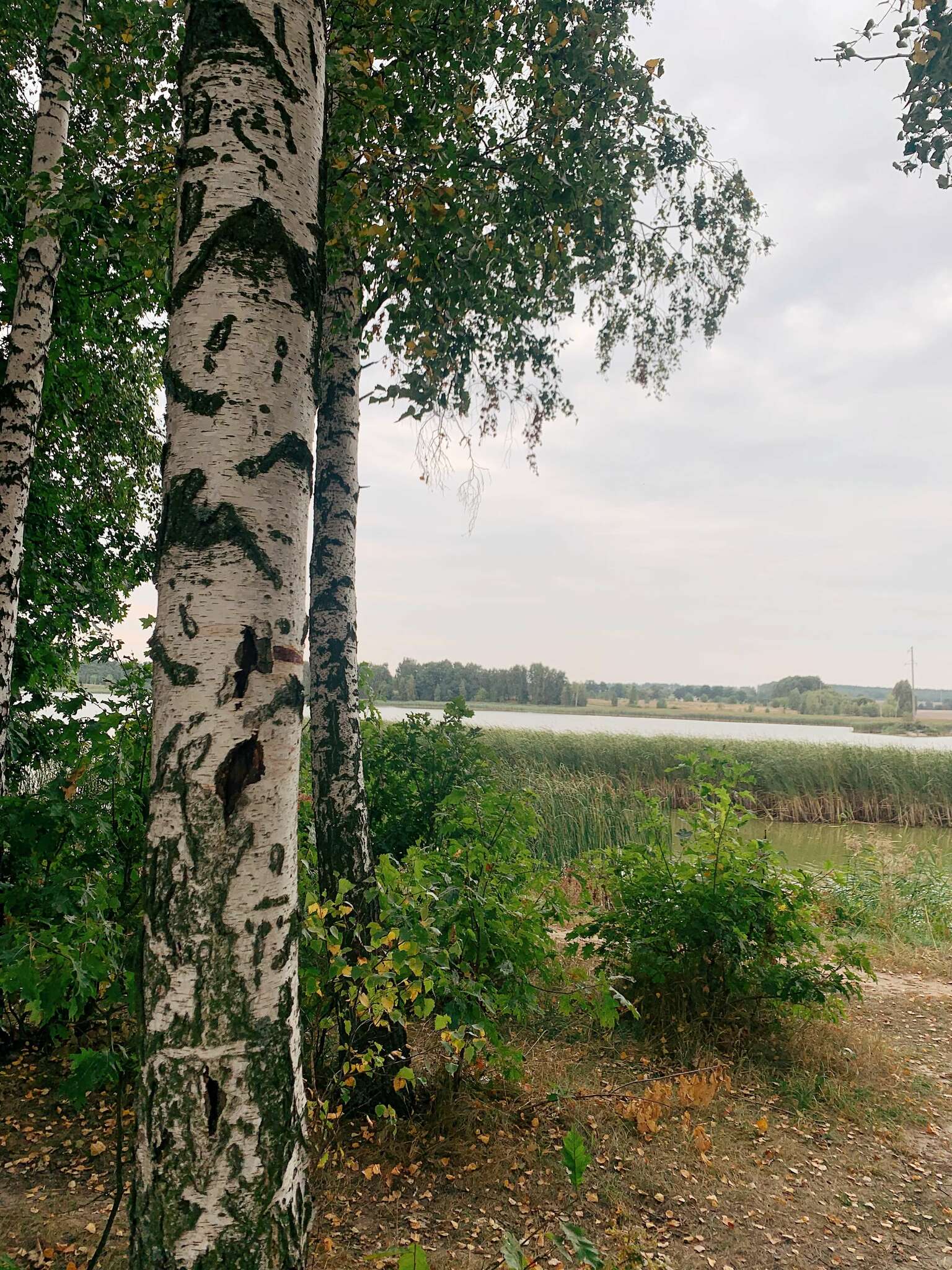 Продаж ділянки під індивідуальне житлове будівництво 100 соток