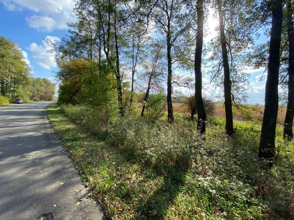 Продаж ділянки під фермерське господарство 200 соток